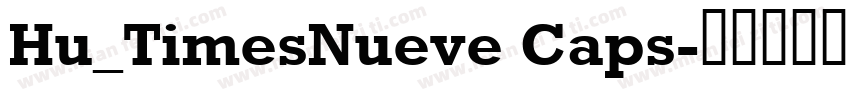 Hu_TimesNueve Caps字体转换